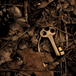 Consultation numérologie